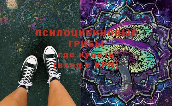 spice Беломорск