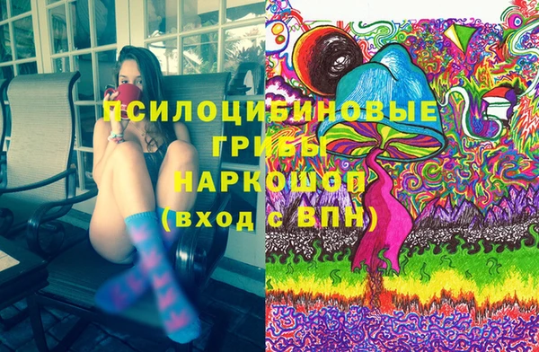 spice Беломорск