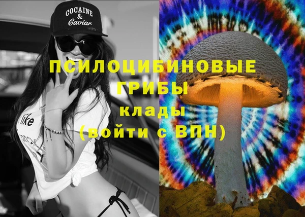 spice Беломорск
